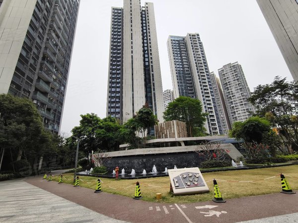 深圳宝安沙井博林君瑞实图实价!
