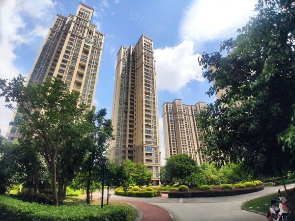 泉州晋江世茂御龙湾绿洲花园世茂御龙湾片区 绿洲花园142平大4房 租