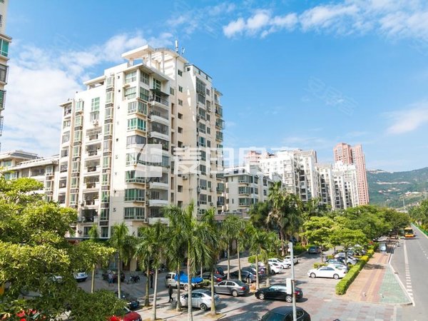 厦门海沧海裕路兴港花园(三期)南向 1室1厅 近地铁口  随时看房出租