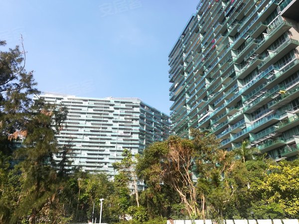 【多图】红树西岸,华侨城租房,红树西岸新出高层租房,豪装,我们有钥匙