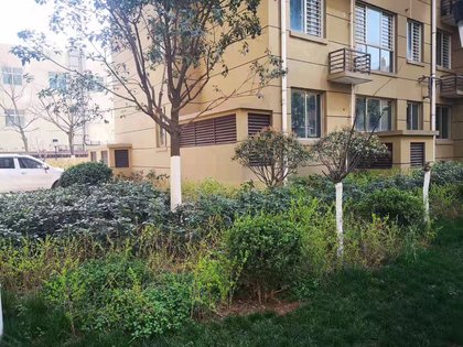 旭景兴园优点,不足,旭景兴园怎么样,旭景兴园周边房产中介经纪人评价