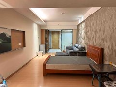 佛山顺德龙江亚洲国际奥斯汀公寓 1室1厅1卫  电梯房 精装修56平米出租房源真实图片