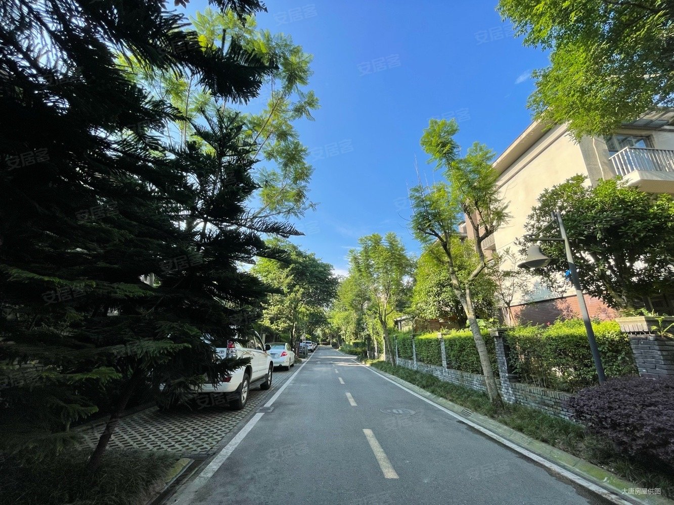 青城白鹭洲(别墅)6室2厅4卫149㎡南北188万