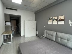 海门海门市区海南路中南城公寓楼电梯房精装一室一厅一卫 拎包入住 随时看房出租房源真实图片