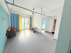 合肥新站陶冲湖可短租押一付一 四号线地铁口大边户两室朝南 全天大太阳出租房源真实图片