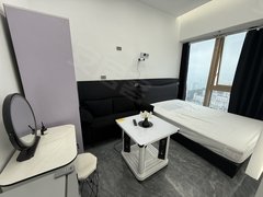 贵阳南明花果园急租！急租！双子塔旁现代风一居室，拎包入住出租房源真实图片
