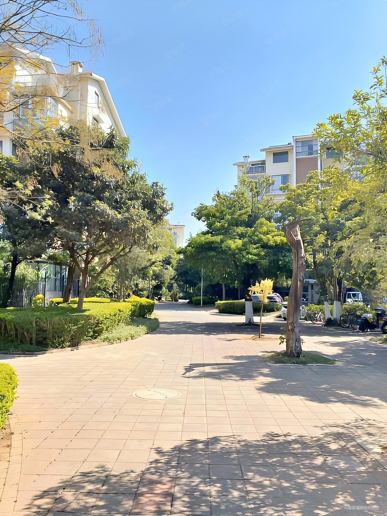 滇池卫城蓝湾4室2厅2卫147.6㎡南北308万