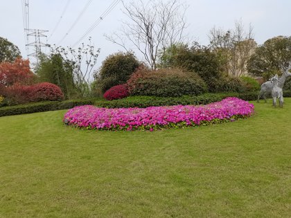 重庆小区 南岸小区 刘家坪小区 保利堂悦(a区一期)