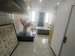 上海松江泗泾G60科创走廊附近 整租一室一厅朝南带阳台 可以办居住证出租房源真实图片