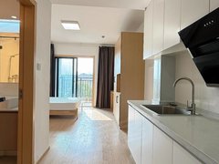 柳州鱼峰东环阳光一百附近 近地王 城中万达 单间配套齐全 拎包入住出租房源真实图片