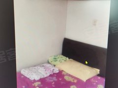 泰兴泰兴市区复兴路飞凤小区 1室0厅1卫出租房源真实图片