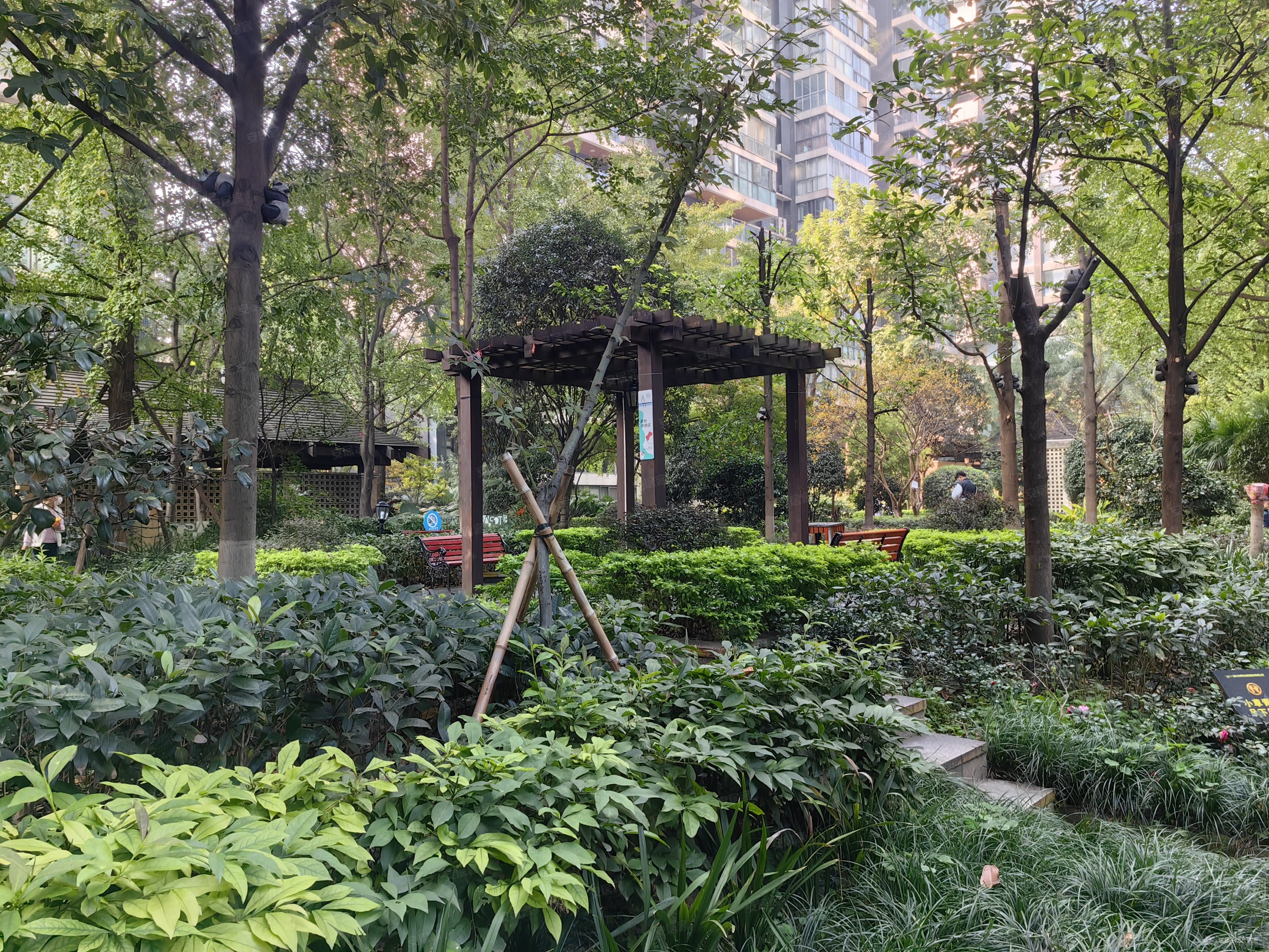 降价30万武侯区桐梓林观南上域三室两厅南北双阳台简单装修