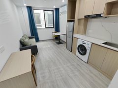 上海嘉定丰庄14号线嘉怡路地铁附近 精装修公寓一室一厅 拎包入住出租房源真实图片