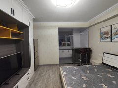 乌鲁木齐开发区开发区二期宝能城精装一室公寓 可短租可月付 ！出租房源真实图片