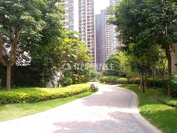 【多图】国悦九曲湾,三塘租房,精装高楼层大户型配齐出租 两梯三户独