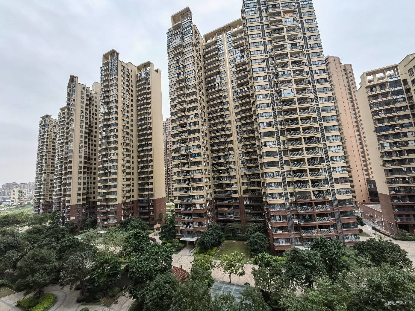 来电有惊喜单价8800起毛坯现楼坦洲十四房旁逸骏星园