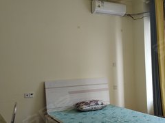临邑城区临邑市区碧桂园带独立卫生间,拎包入住799元,押一付一出租房源真实图片