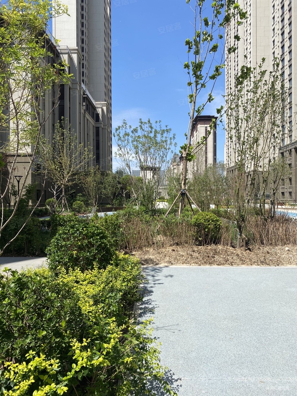 天成华境4室2厅3卫190㎡南北440万