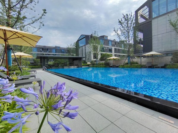 杭州余杭五常晓月澄庐余杭阿里附近大户型下跃边套,包物业包车位,大