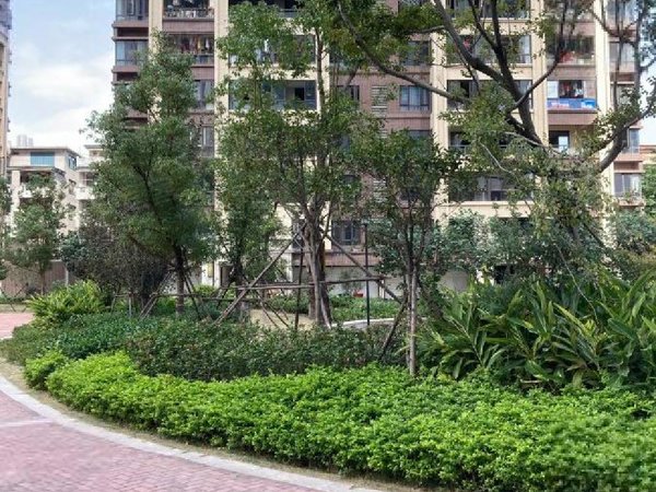 【多图】恒宇国际首府(商住楼),青口租房,单身公寓!独立房间!