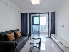 邵阳大祥金三角步行街可月付上善珑湖公馆 1室1厅1卫精装修 配套齐全 南北通透出租房源真实图片