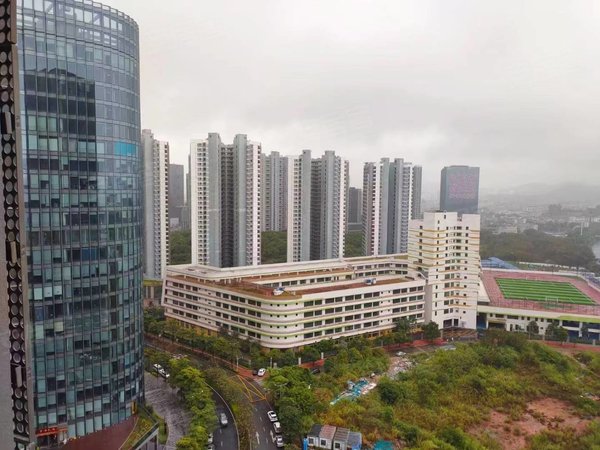 深圳龙岗平湖海源城平湖华南城  天虹商场 海源城两房 看房方便出租