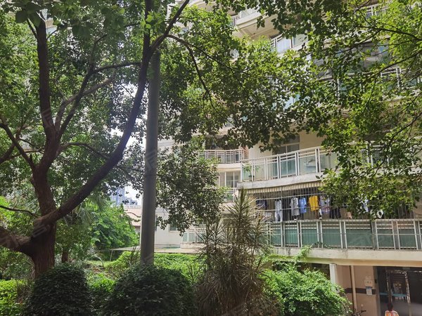 南宁青秀凤岭南恒大苹果园招租,青秀恒大苹果园,东方诗韵,配套齐全大