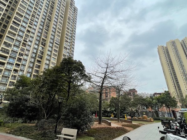 广州荔湾坑口东漖新村东漖新村 精装修 大一房一厅 拧包入住 坑口地铁