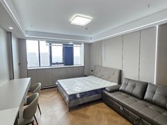 东台东台开发区东台中南城购物中心城北中南城旁精装公寓 好停车免物业 不是合租出租房源真实图片