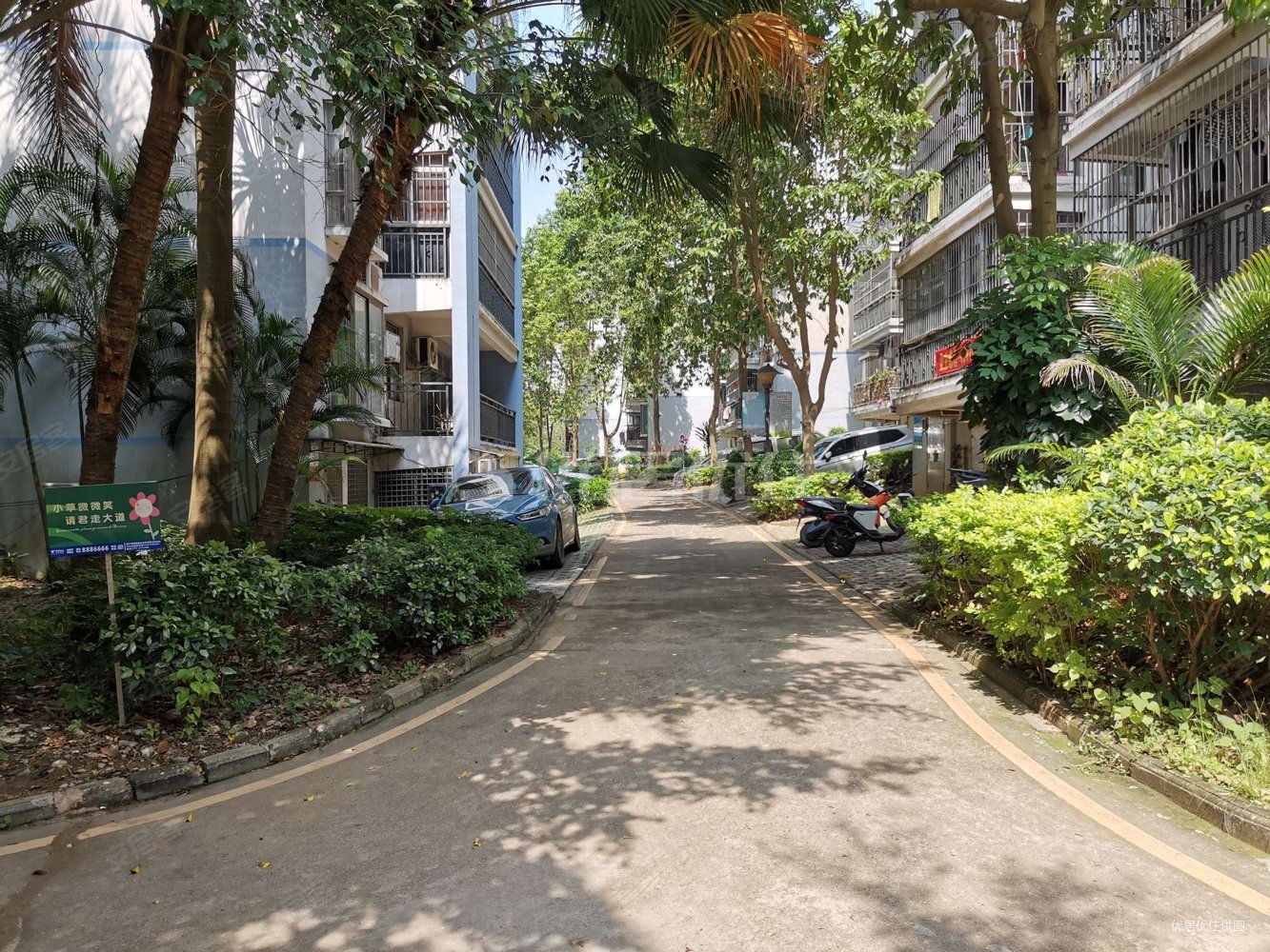 滨江丽景花园 产权清晰 南北通透 装修好 高楼层视野无遮挡