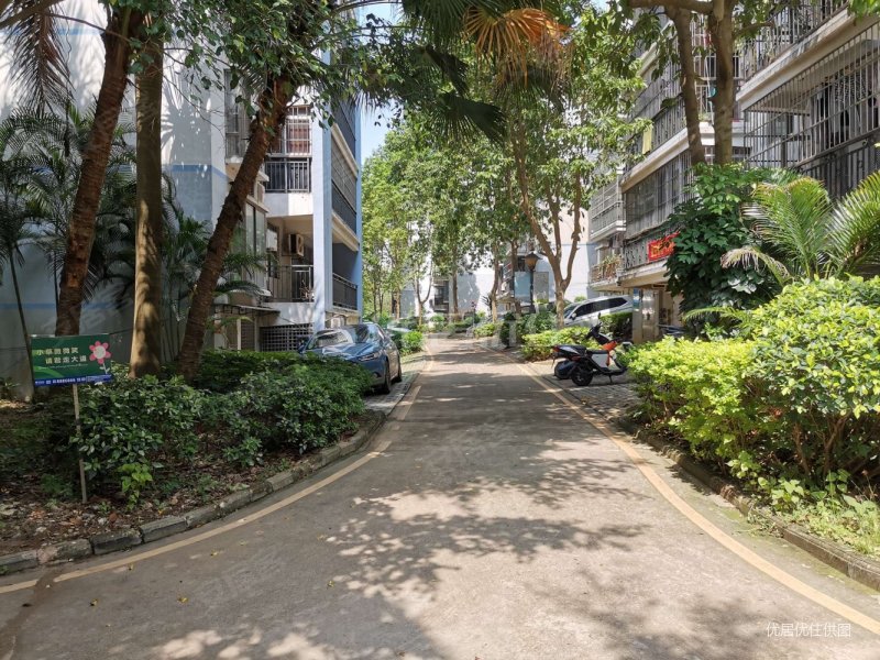 滨江丽景花园 产权清晰 南北通透 装修好 高楼层视野无遮挡