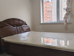 凤城凤凰大街凤城城区福临小区 金叶东方明珠旁 步梯二楼 精装修 地点好出租房源真实图片