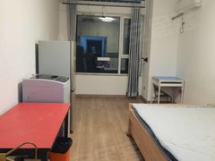 青岛城阳世纪公园银盛泰泰馨苑 1室1厅1卫出租房源真实图片