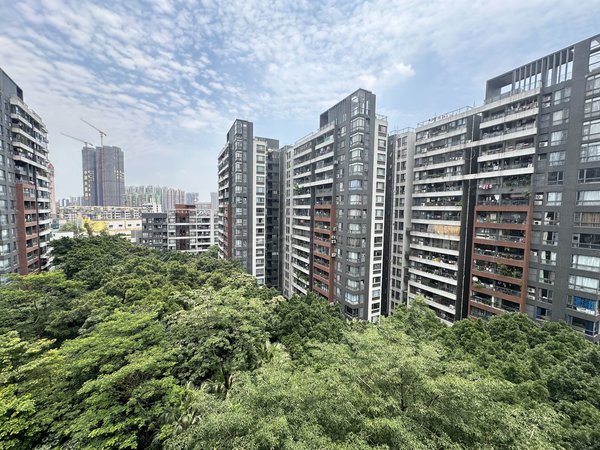 光大花园四期东南向4房 望花园安静乐峰广场沙园地铁站,海珠租房-广州