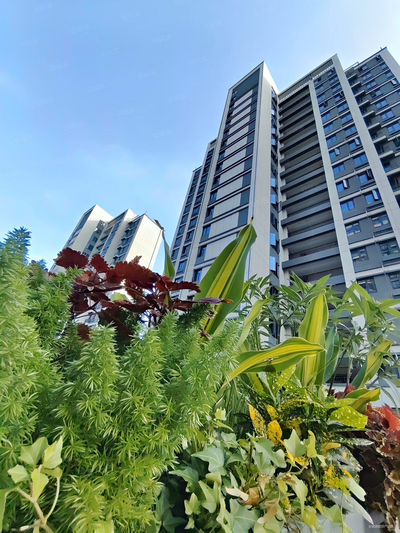 福州房产网>福州二手房>闽侯二手房>高新区二手房>保利阅云台>