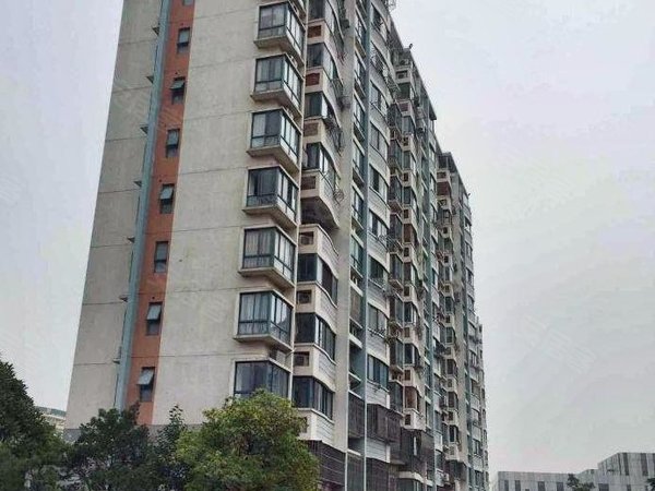 上海浦东张江川杨新苑(一期)中科路 张江站地铁口 精装两房 淡季房东