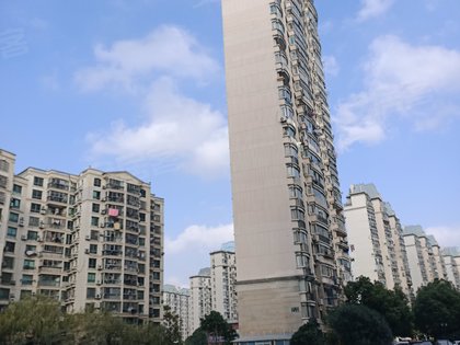 上海康城人口_从松江到莘庄,上海这个最大社区鲜为人知的变更史 你知道吗