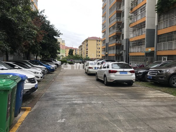 【多图】中房碧翠园a区,白沙大道租房,租客到期重新出租 看房提前联系