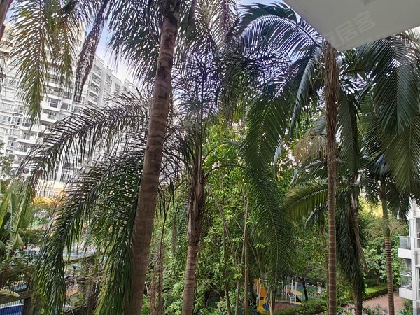 【多图】海印长城,南山中心区租房,南山书城旁!海印长城一期!106平!干