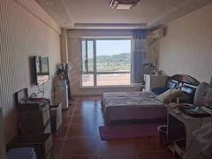 丹东振兴六纬路小学学区五金城公寓精装一室 有空调 长租包物业取暖，短租不包取暖出租房源真实图片