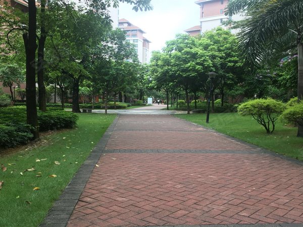 广州花都狮岭狮城国际狮城国际一期,精装大三房出租,部分家私家电