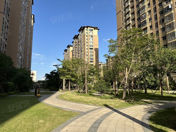 泉州晋江晋江吾悦广场宝龙世家(池店)随时看房,新装出租出租房源真实