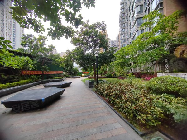 东莞莞城罗沙地王广场(三期)莞城地王广场 精美一房家私电齐全 南北