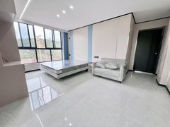 永康西城南龙广场花川附近 城西物流园旁 两室一厅 押一付一 家电齐全出租房源真实图片