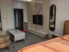 开原开原城区开原市区铁西月租，馨萱兰苑，电梯14楼，一室一厅，家电齐全，有网空调出租房源真实图片