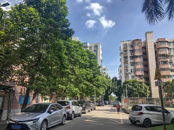 广州荔湾芳村芳园居芳园居  电梯两房  家具电器齐全 环境优美 交通