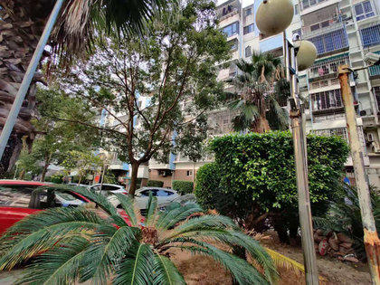 不足,广景花园怎么样,广景花园周边房产中介经纪人评价-厦门安居客