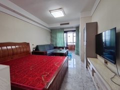 淮南大通淮尚广场！保持干净 金地月伴湾一区 精装一室公寓 家具家里齐全出租房源真实图片