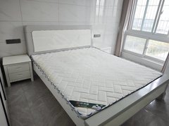 东台东台开发区东台中南城购物中心靠近 领胜！徕木！广谦！三团新居 精装1室 民用水电出租房源真实图片