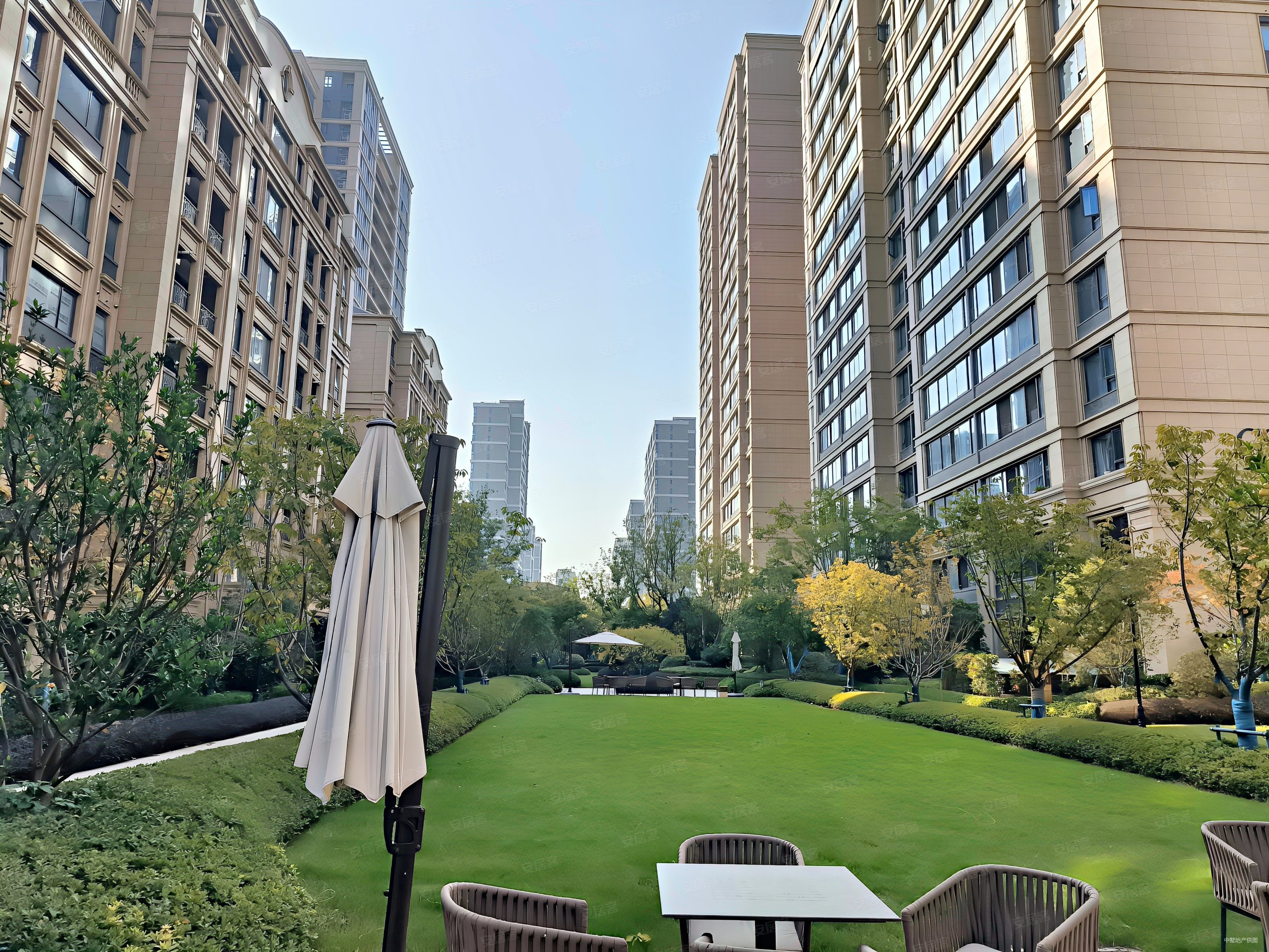 禹洲绿城兰园3室2厅2卫111.83㎡南北285万